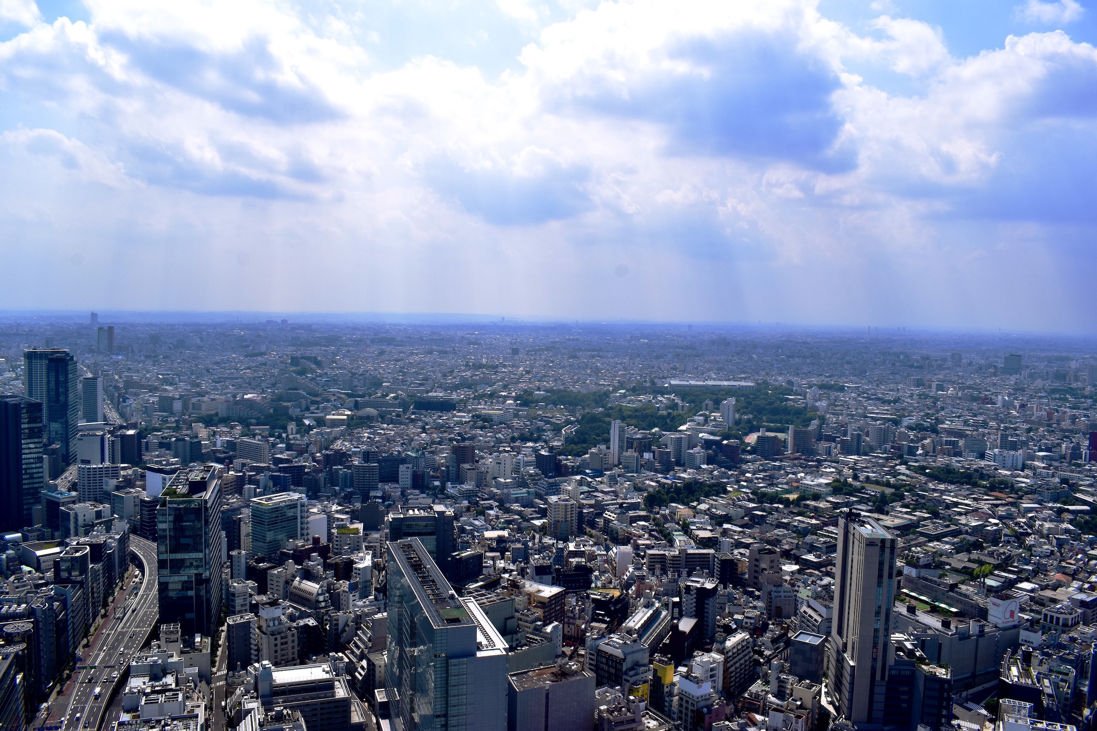 Tokyo Skyline