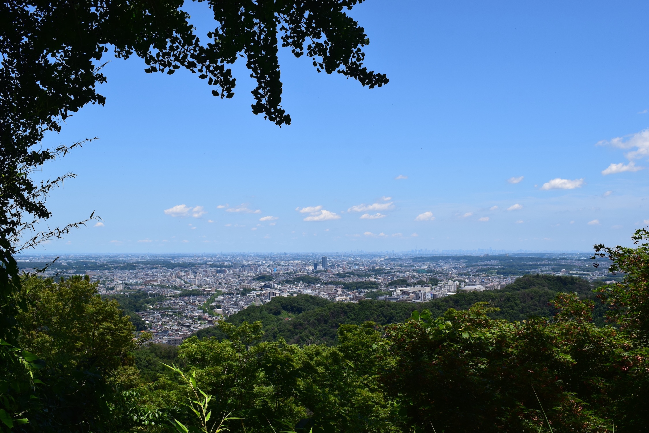 Tokyo from Mt Takao