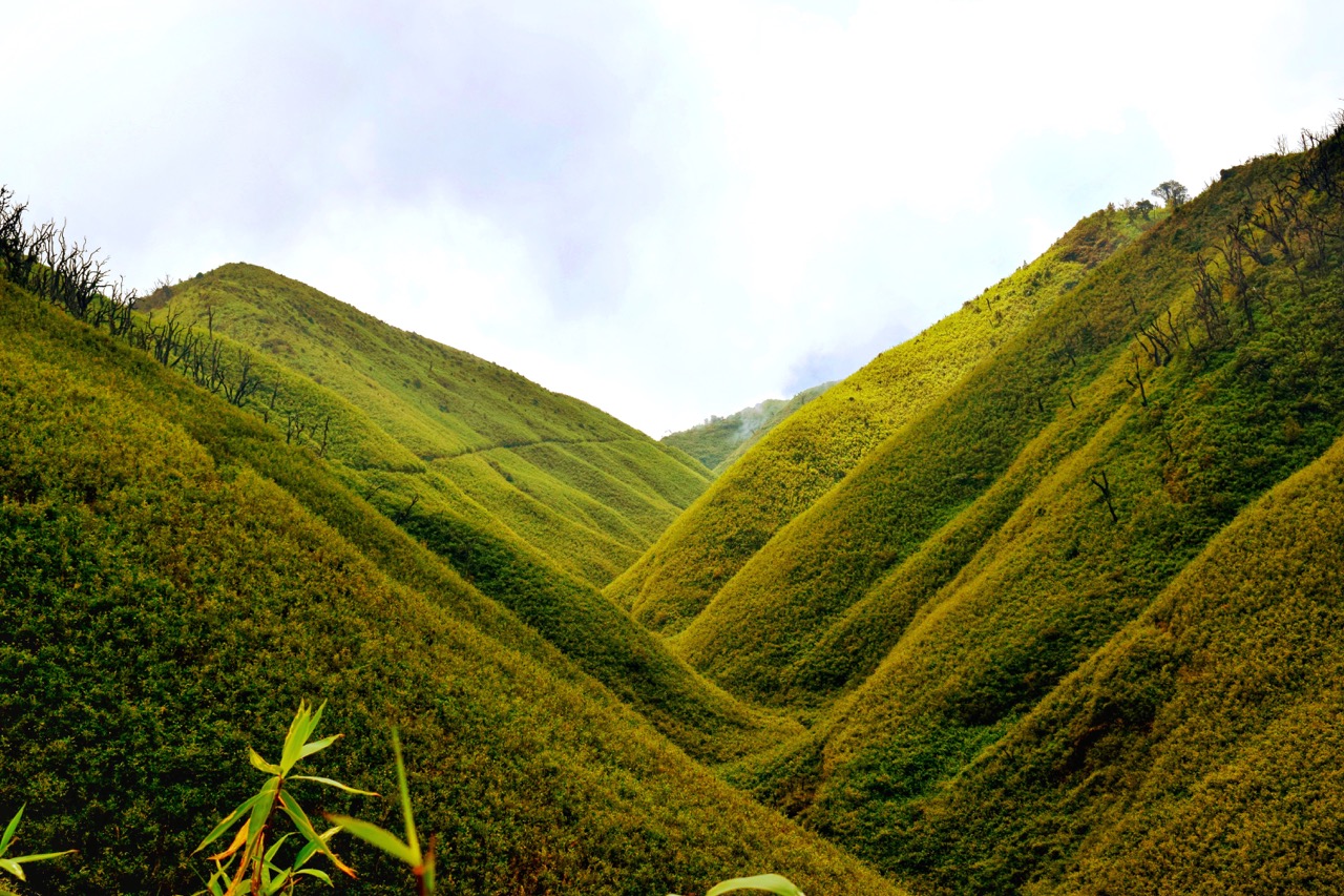 Dzukou Valley