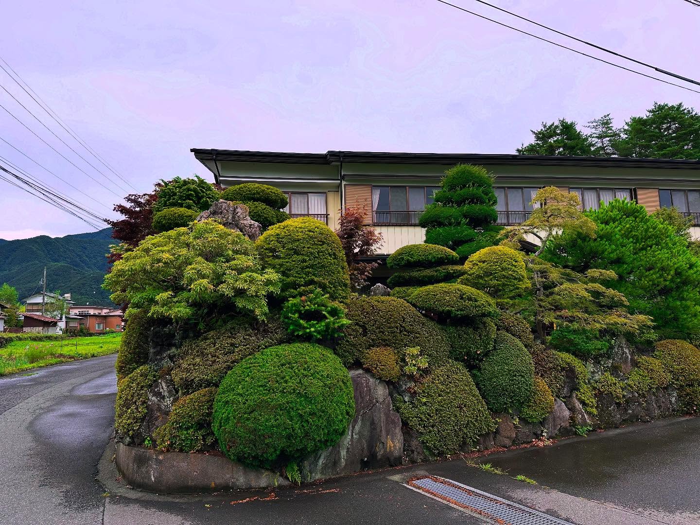 A Japanese Garden