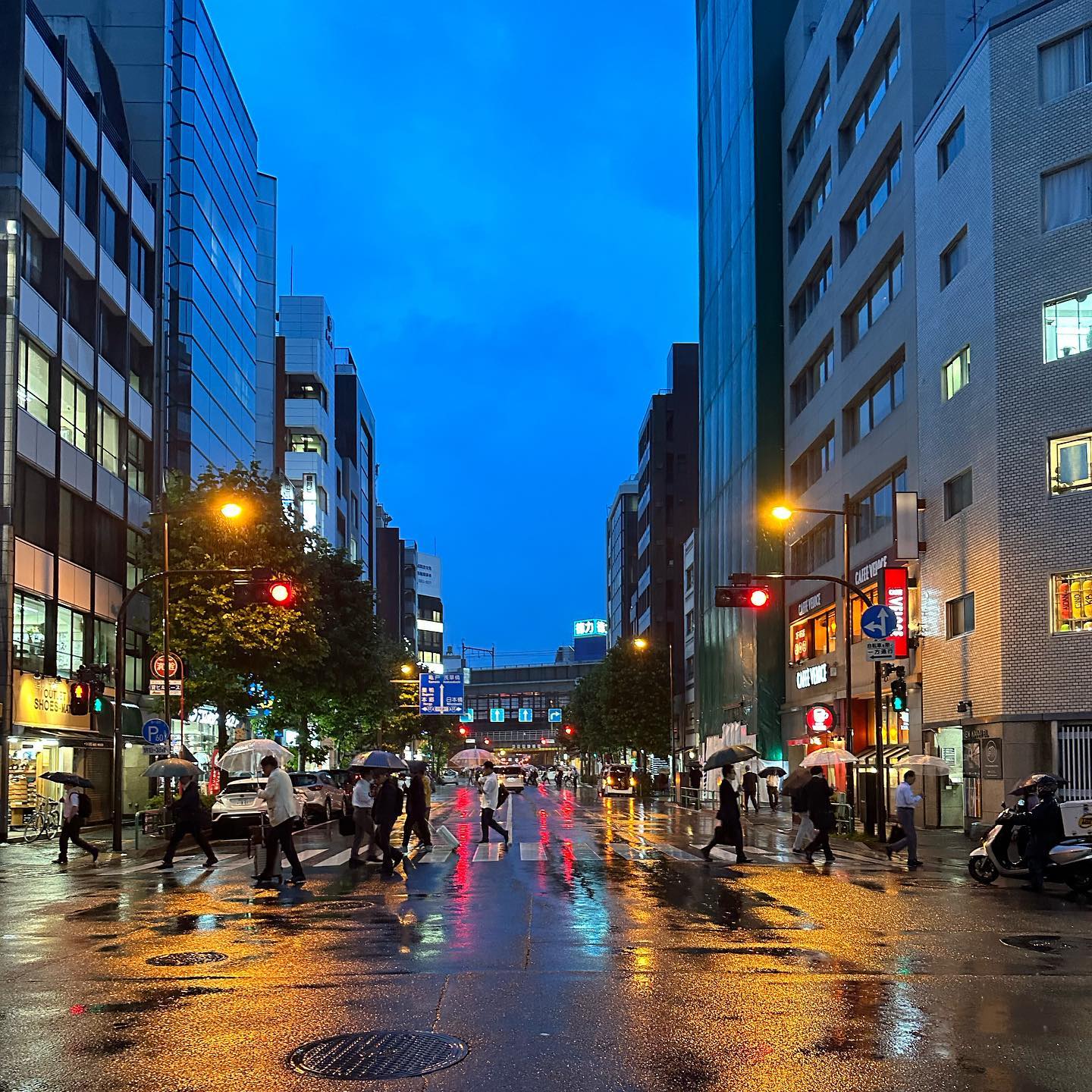 A rainy evening in Tokyo